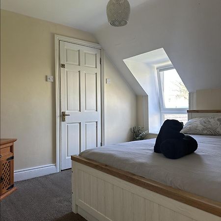 The Grapevine Hostel دينغل المظهر الخارجي الصورة