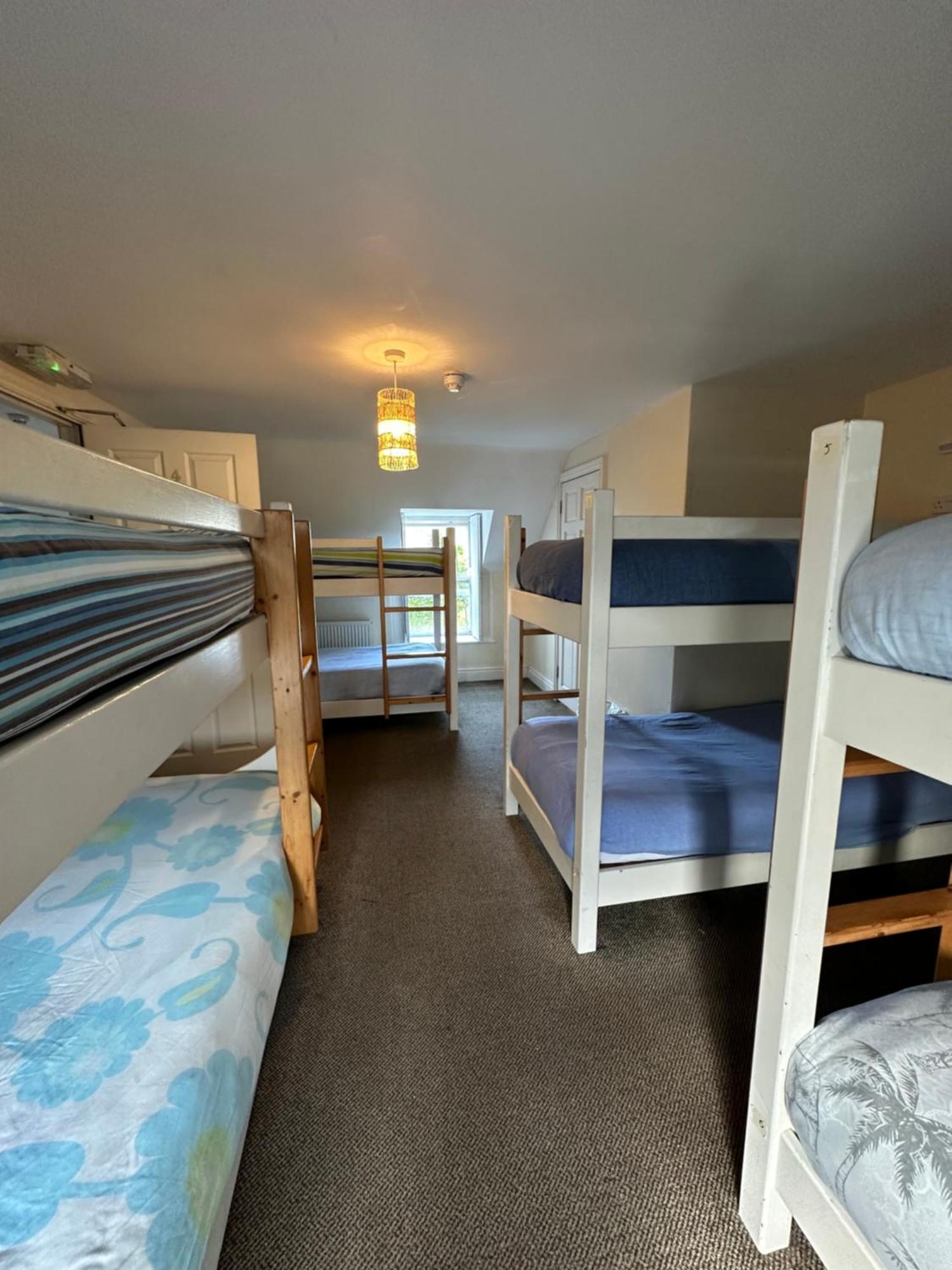 The Grapevine Hostel دينغل المظهر الخارجي الصورة