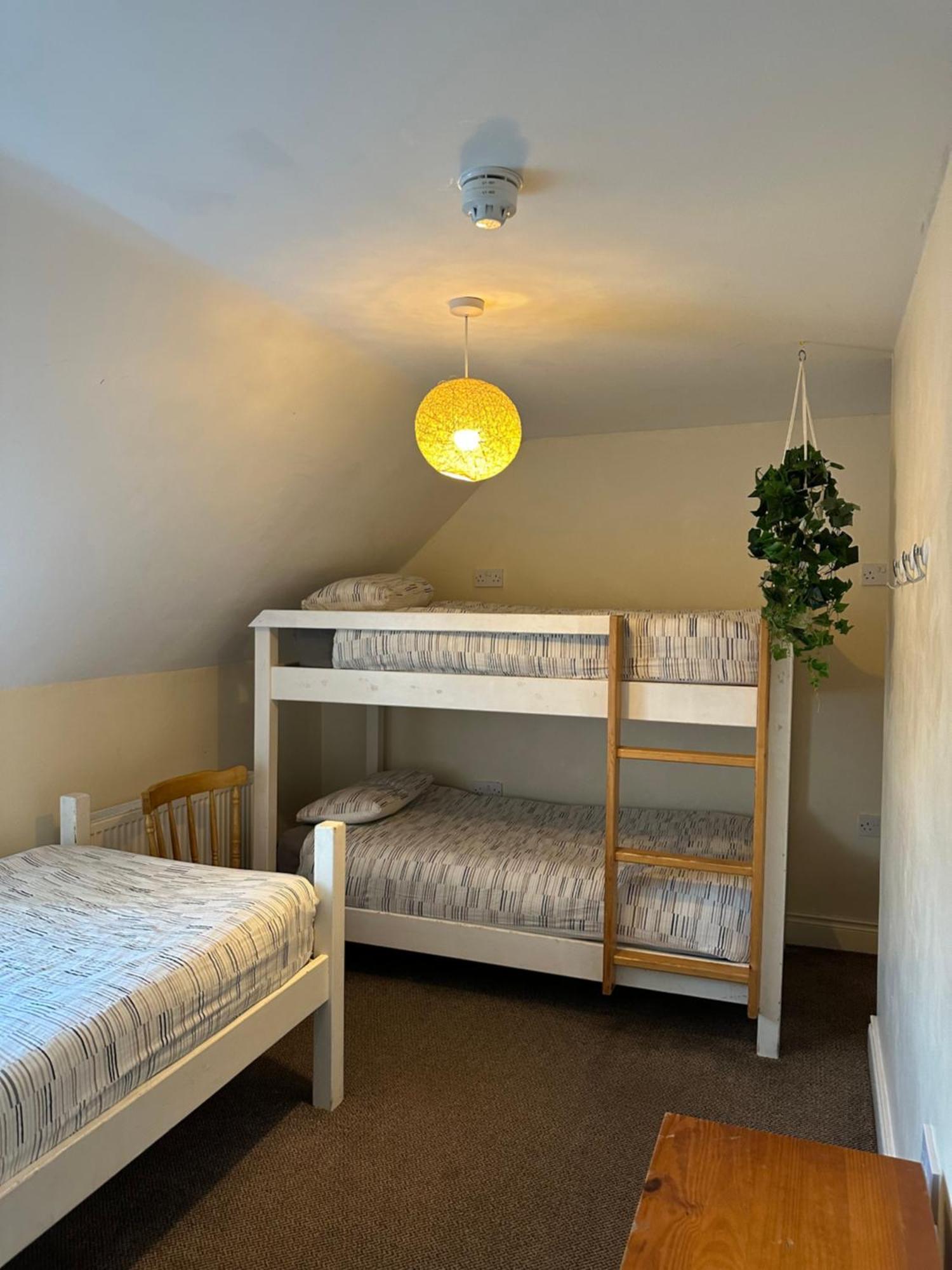 The Grapevine Hostel دينغل المظهر الخارجي الصورة