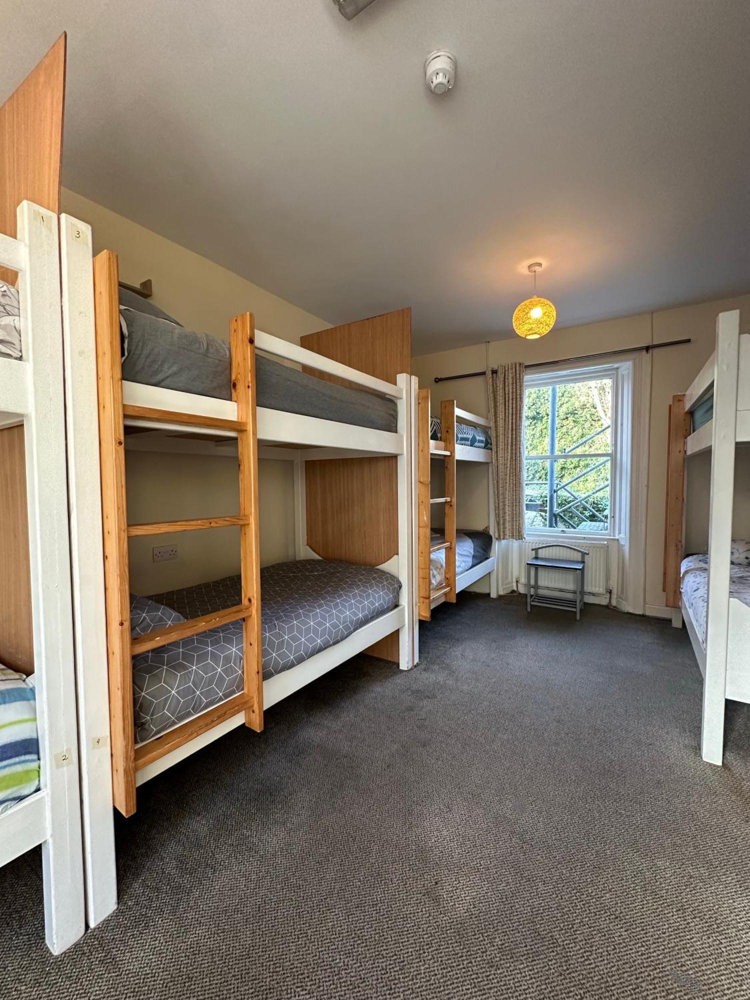 The Grapevine Hostel دينغل المظهر الخارجي الصورة
