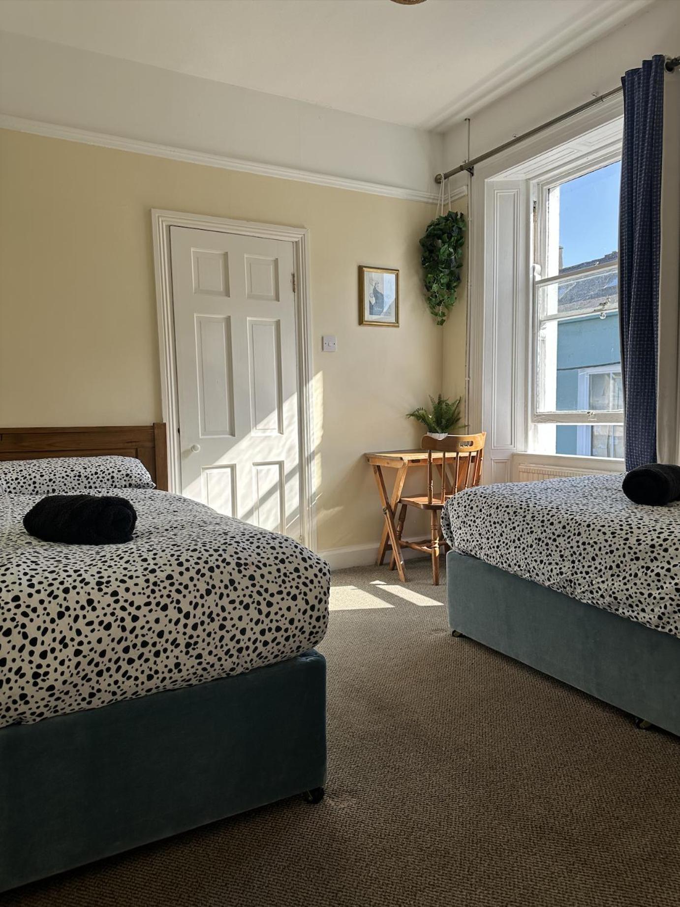 The Grapevine Hostel دينغل المظهر الخارجي الصورة